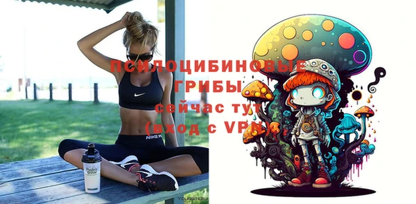 a pvp Алексеевка