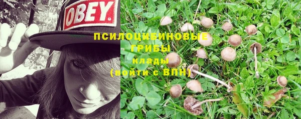 каннабис Алзамай