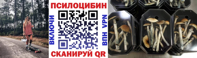 купить закладку  Конаково  Галлюциногенные грибы MAGIC MUSHROOMS 