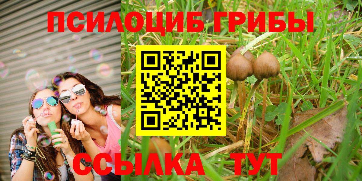 Галлюциногенные грибы Cubensis  цена   Конаково 